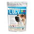 Lucy 26/14